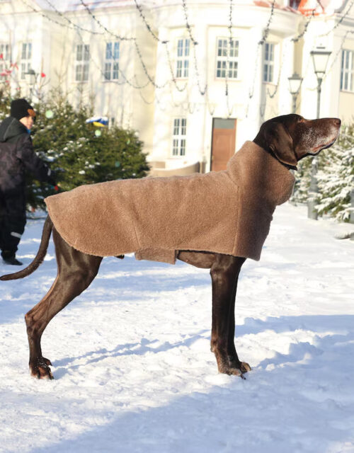 Handmade cappuccino color woolen coat for dog. Warm clothes for large dogs.