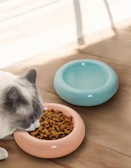Pet Bowl, Round Cat Bowl, Cat Dish, Kitten Bowl, Cat Water Dish, Ceramic Pet Bowl, Puppy Bowl, Pottery Pet Bowl,Pottery Kitten Bowl